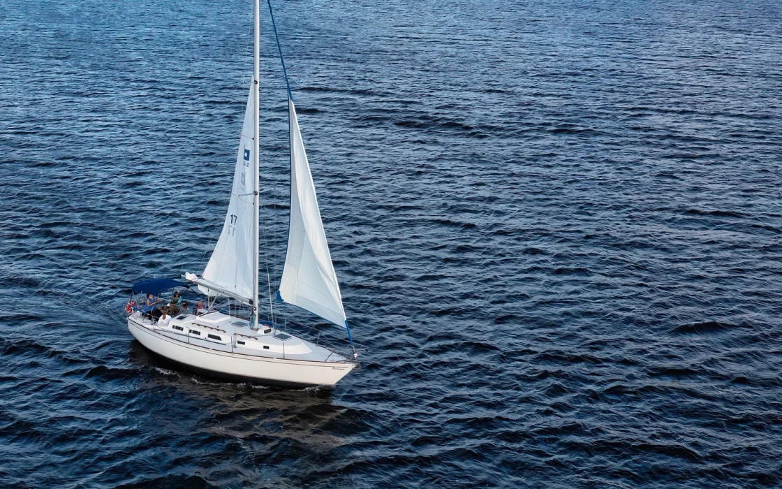 Bateau de croisière naviguant en mer