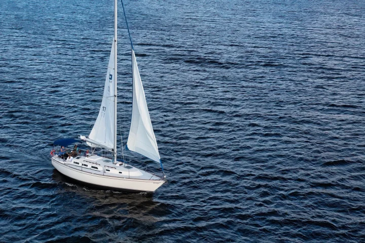 Bateau de croisière naviguant en mer
