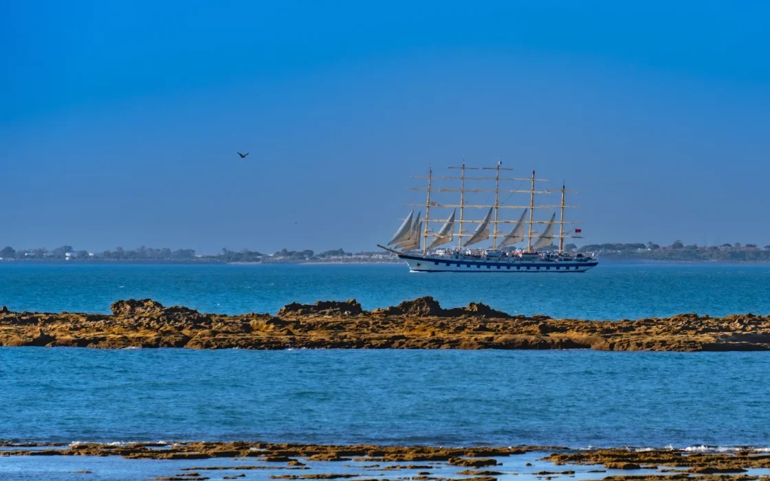 Bateau de croisière naviguant en mer