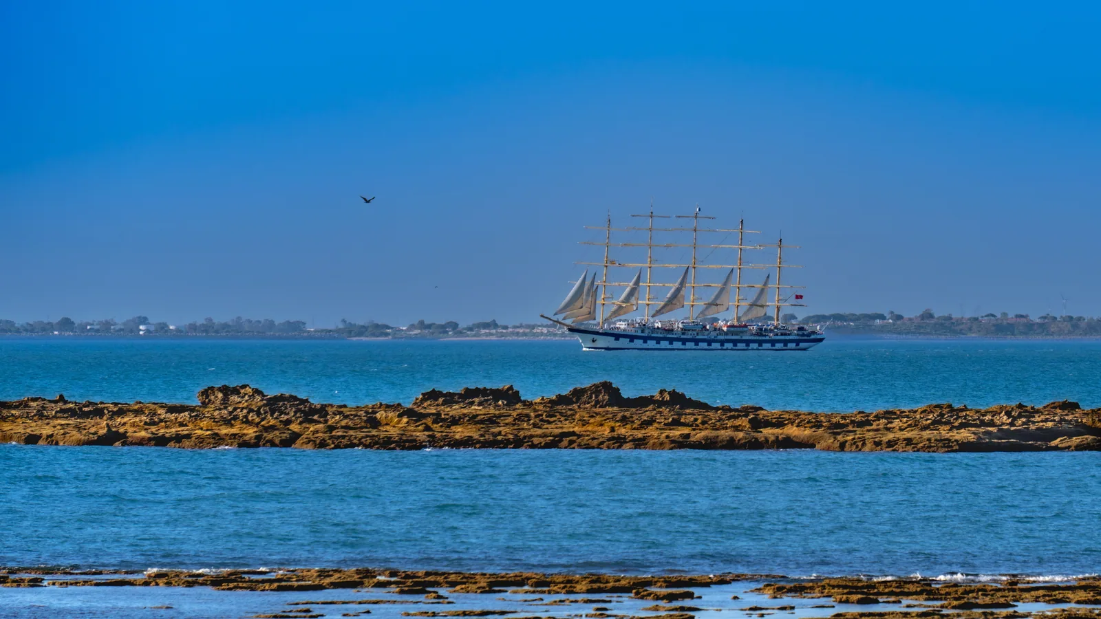 Bateau de croisière naviguant en mer