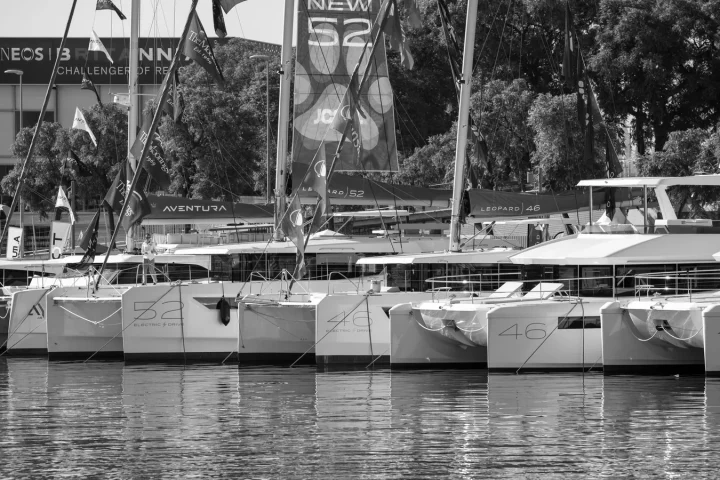 Bateau de croisière naviguant en mer