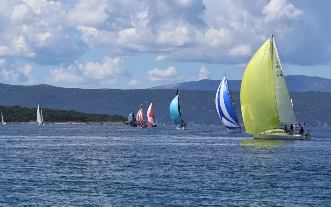 Bateau de croisière naviguant en mer