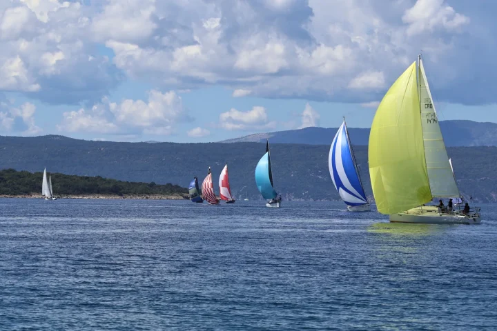 Bateau de croisière naviguant en mer