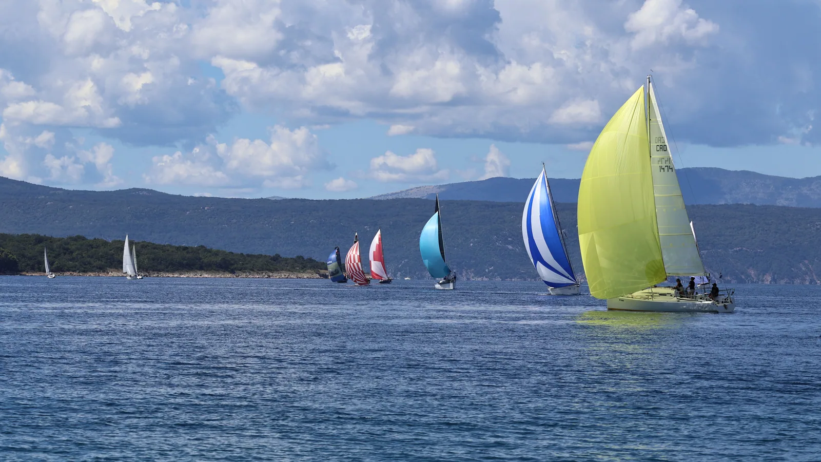 Bateau de croisière naviguant en mer