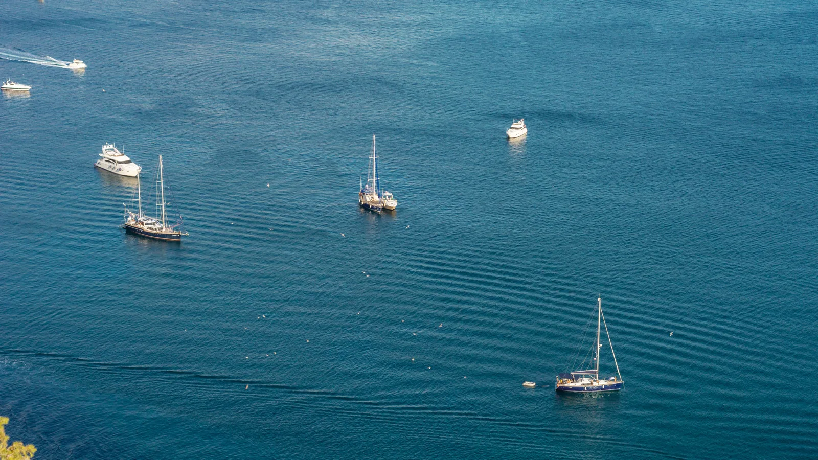 Bateau de croisière naviguant en mer