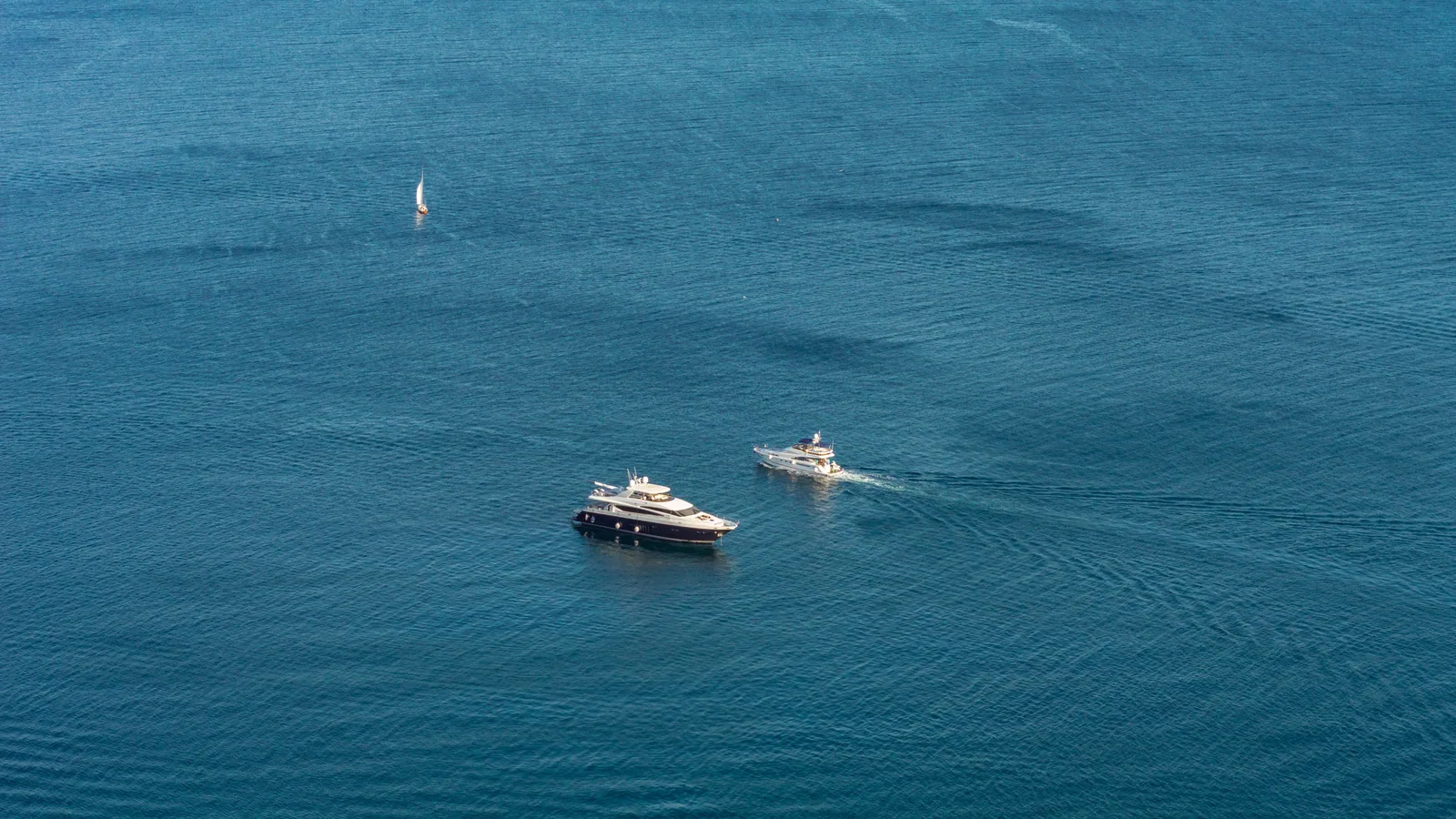 Bateau de croisière naviguant en mer
